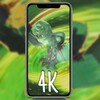 剧爷爷播放器